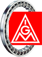 Logo Schaeffler IG Metall